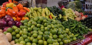 Hasta 45 pesos kilo de limón