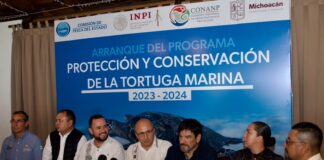 Anuncian el arranque del programa de protección y conservación de la tortuga marina en Michoacán para el periodo de agosto de 2023 a marzo de 2024