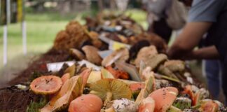 38 Edición de la Exposición “Hongos de los Alrededores de Morelia”