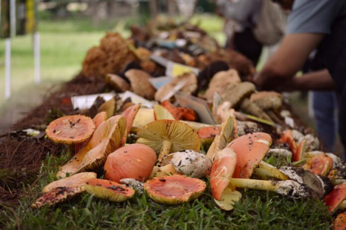 WhatsApp Image 2023-09-01 at 12.32.32 PM (2)