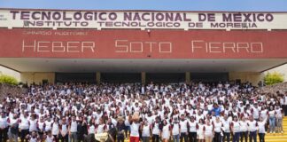 Más de 800 nuevos Ponys en el ITM