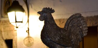 Develan el nuevo gallo de cantera negra en la emblemática Pila del Gallo