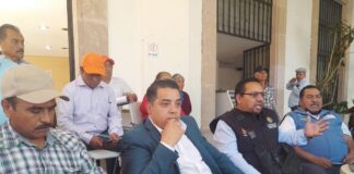 Incumple estado y Federación con santuarios de la Mariposa Monarca.