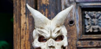 Llega el cine de terror a Morelia con la cuarta edición del Animal Film Fest