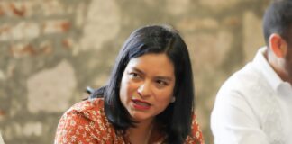 Erendira Isauro se pronuncia a favor de un ajuste presupuestal al IEM