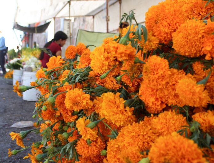 WhatsApp Image 2023-10-30 at 3.46.04 PM