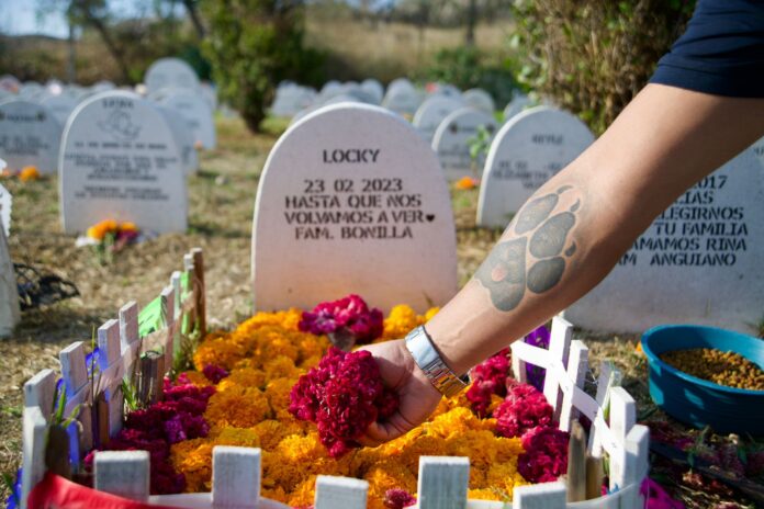 WhatsApp Image 2023-11-02 at 10.49.19 AM