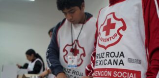 Michoacán y la Cruz Roja con Acapulco: Priorizan la seguridad alimentaria