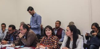 Diputados del PAN iremos por presupuestos justos y razonables para órganos desconcentrados: Lariza Pérez