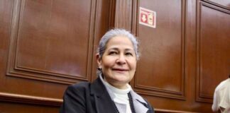 *Crucial detección oportuna del espectro autista para elevar calidad de vida: Mayela Salas