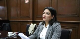 Propone Erendira Isauro internamiento para jóvenes adultos que cometan delitos graves