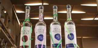 Encuentro Nacional del Mezcal 2023