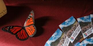 Invitan a fomentar el desarrollo urbano de los Pueblos Mágicos en Michoacán