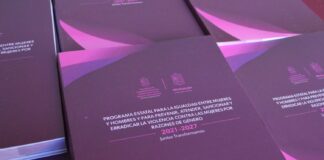 Programa Estatal para la Igualdad entre Hombres y Mujeres, y para Prevenir, Atender, Sancionar y Erradicar la Violencia contra las Mujeres por Razones de Género