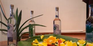 Décima Edición del Festival del Mezcal de Etúcuaro