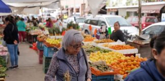 ¿Con cuánto se arma un ponche?