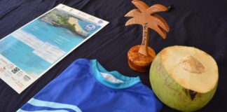 Se anuncia el 12º Torneo de Aguas Abiertas Palma Sola