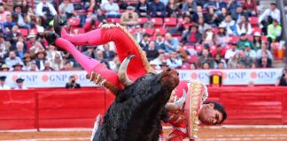 A la caza del torero