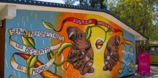 Murales con temática ambiental en escuelas públicas