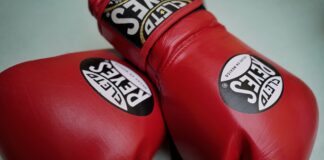 Morelia en el Ring: Espectáculo de Box Gratuito