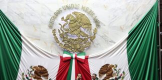 Centros asistenciales y de reinserción social, con pleno respeto a derechos humanos: 75 Legislatura