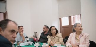 Consigue Andrea Villanueva asignación de recursos para los sectores más vulnerables de Michoacán