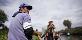 La recuperación de la pesca en el Lago de Pátzcuaro: un resurgimiento esperado.