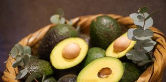 La Feria del Aguacate de Tancitaro, sin cobro de piso, ni narco corridos.