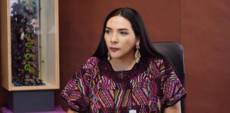 Frenar la violencia contra niños y adolescentes, una tarea pendiente: Adriana Campos Huirache