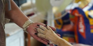 Refugio Ghapad enfrenta crisis hídrica en Morelia: “7000 pesos en pipas en dos meses”