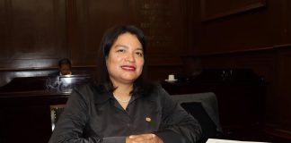Eréndira Isauro impulsa reforma para limitar patria potestad por violencia vicaria en Michoacán