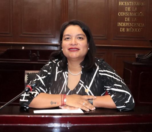 Diputada Eréndira Isauro propone incorporar perspectiva de infancia en la legislación estatal