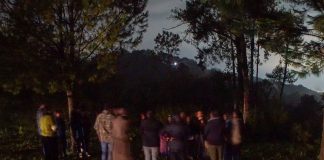 La noche en que el bosque brilló: crónica de un encuentro con las luciérnagas en Tres Cascadas