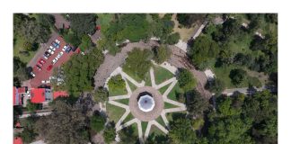 Galería | ¿habías visto a una Morelia en cenital?