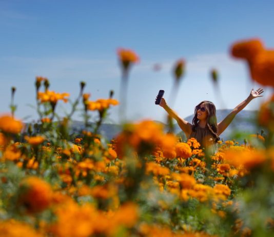 Copándaro abre sus puertas a la experiencia turística entre campos de cempasúchil