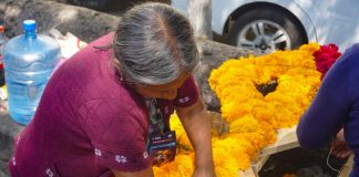 Preparan la Calzada San Diego con nuevos arreglos florales para el Día de Muertos
