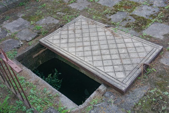 WhatsApp Image 2025-10-29 at 2.40.20 PM