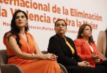 Violencia de género, un tema de urgencia en la agenda gubernamental: Diana Espinoza