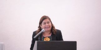 Belinda Iturbide propone ante el pleno promover inclusión laboral de personas con discapacidad