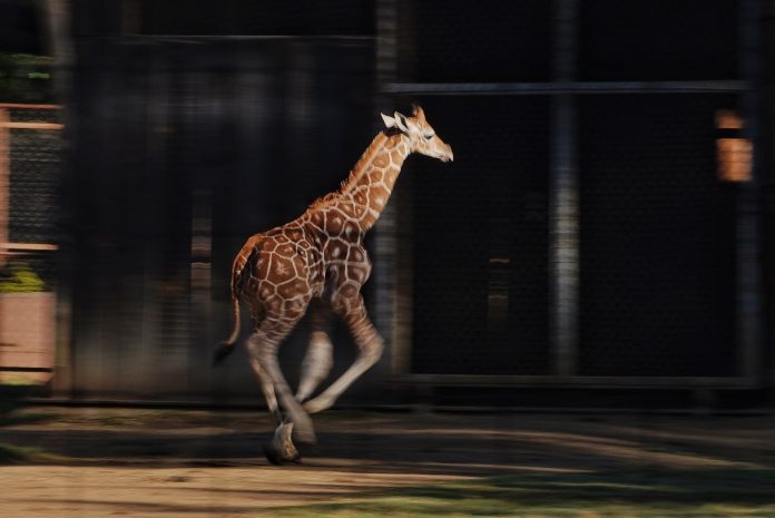 WhatsApp Image 2026-01-22 at 09.18.47