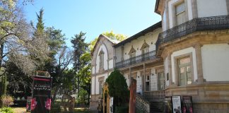 Entre lo urbano, la memoria y la exploración visual: las exposiciones del MACAZ