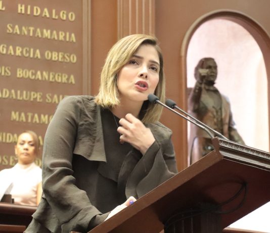 Diputada Brissa Arroyo plantea reformas a la Ley de Salud para impulsar en el estado el “Código Mariposa” 