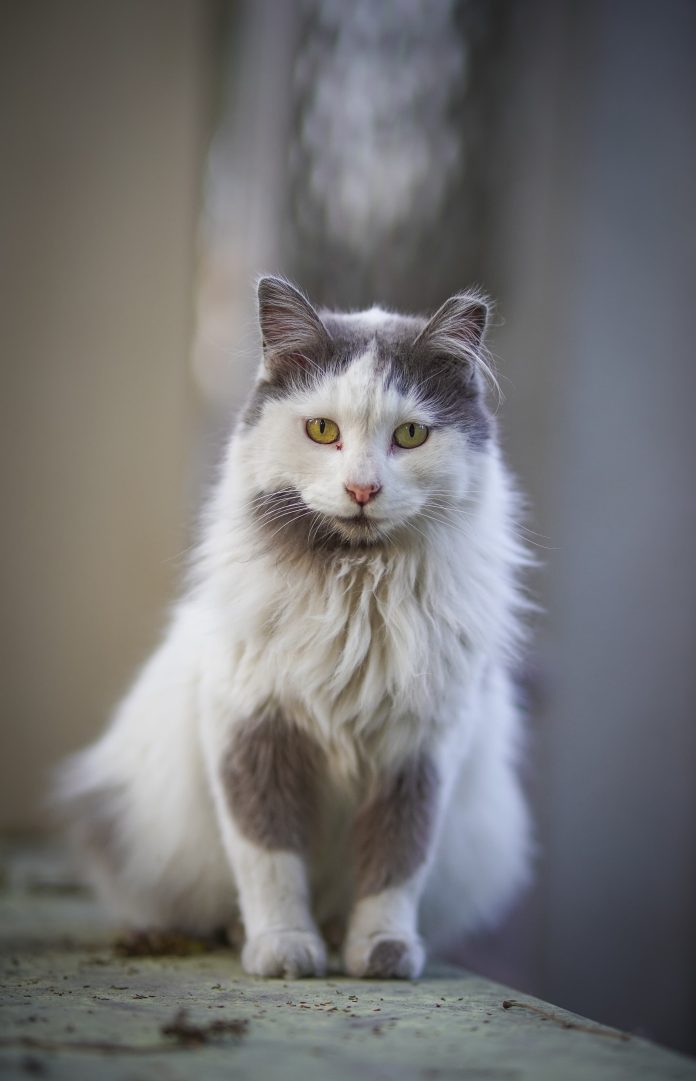 WhatsApp Image 2026-02-20 at 13.29.01