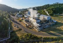 San Matías el Grande: la enfermedad que avanza en silencio