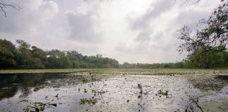 La Gotita como espacio donde el agua une a la comunidad