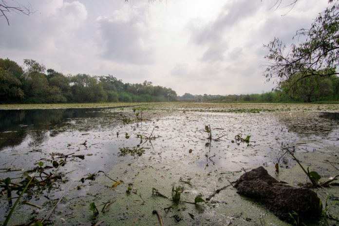 WhatsApp Image 2026-03-20 at 9.12.12 AM-2