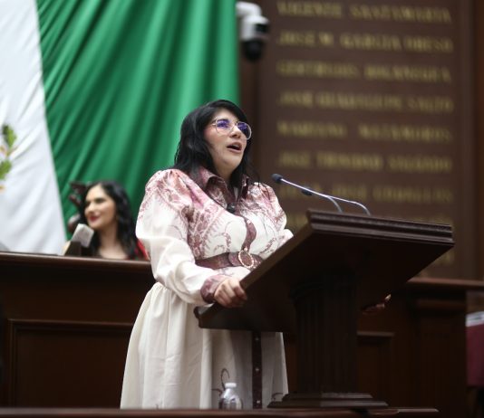 Que niñas, niños y adolescentes mantengan contacto con seres queridos que no tengan la custodia: Vanhe Caratachea