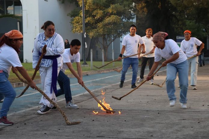 WhatsApp Image 2026-04-05 at 8.44.30 PM-2