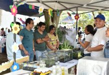 Últimos preparativos para la 34ª edición del Tianguis de la Ciencia de la UMSNH