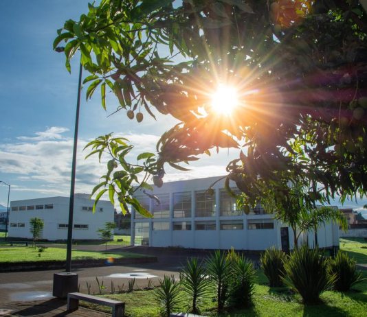UNIDADES PROFESIONALES DE LA UMSNH, GENERADORAS DE OPORTUNIDADES PARA LAS Y LOS JÓVENES
